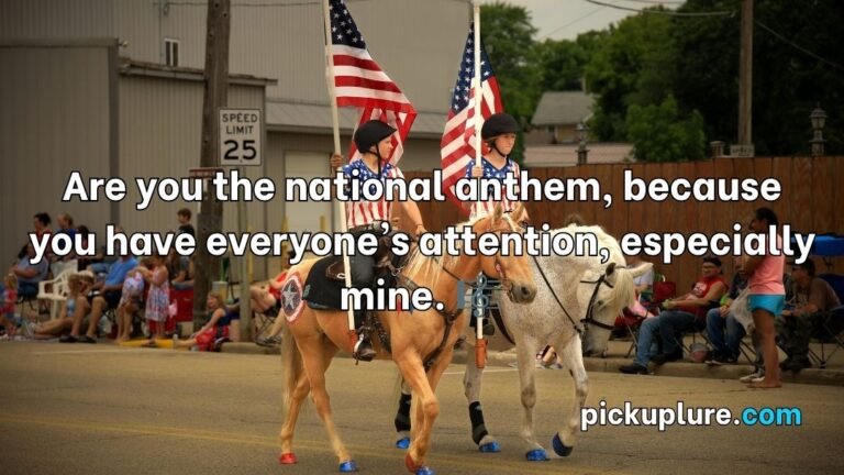 4th of July Pick Up Lines