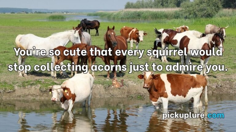 Animal Pick Up Lines