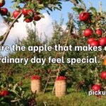 Apple Pick Up Lines