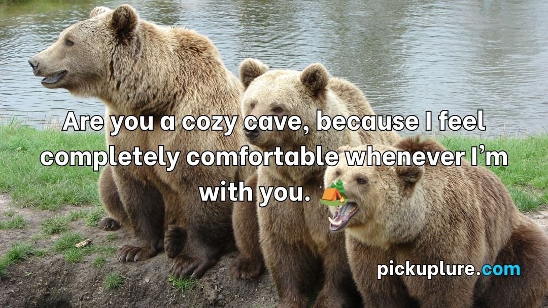 Bear Pick Up Lines