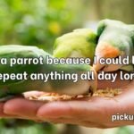 Bird Pick Up Lines