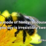 Bumblebee Pick Up Lines