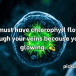 Chloroplast Pick Up Lines