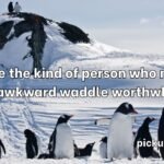 Penguin Pick Up Lines