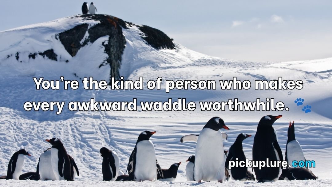 Penguin Pick Up Lines