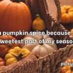 Pumpkin Pick Up Lines
