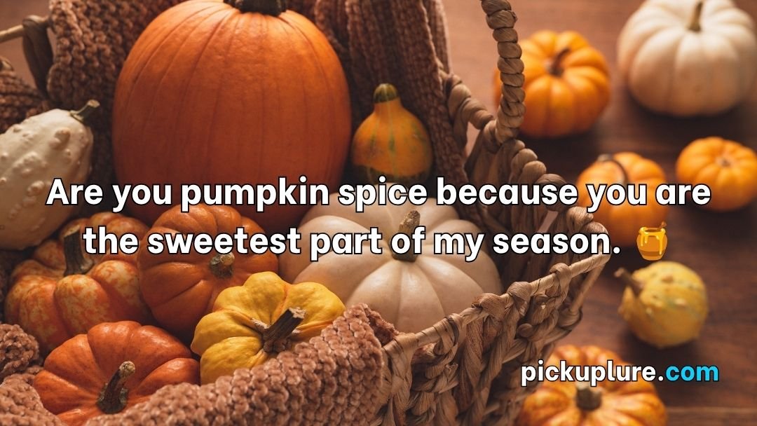 Pumpkin Pick Up Lines