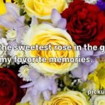 Rose Pick Up Lines