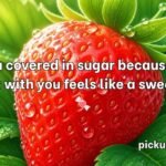 Strawberry Pick Up Lines