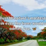 Tree Pick Up Lines