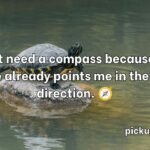 Turtle Pick Up Lines