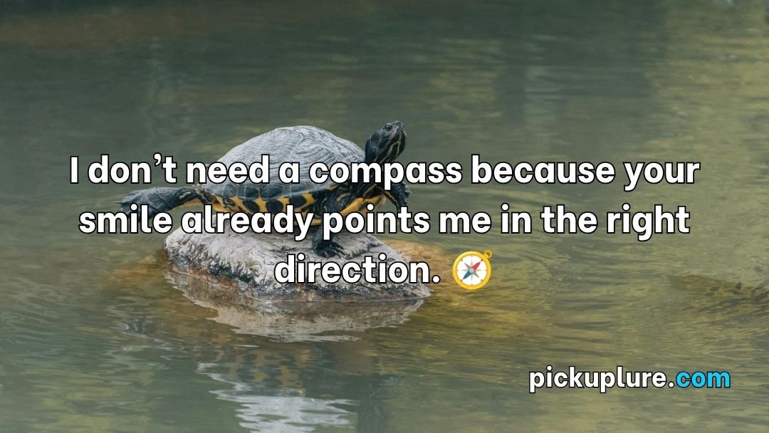 Turtle Pick Up Lines