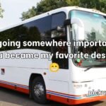 Bus Pick Up Lines
