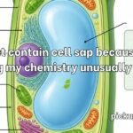 Central Vacuole Pick Up Lines