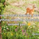 Deer Pick Up Lines