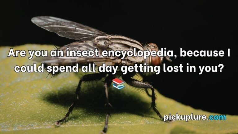 Insect Pick Up Lines