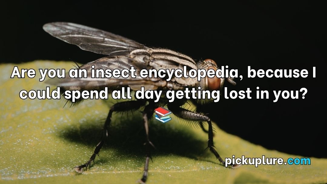 Insect Pick Up Lines