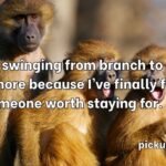 Monkey Pick Up Lines