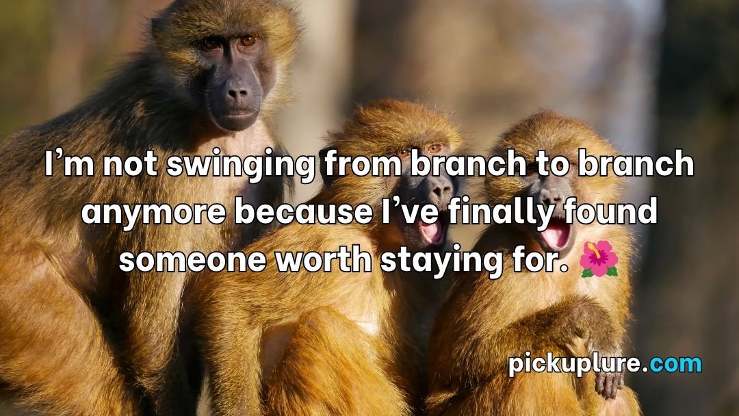 Monkey Pick Up Lines