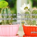 Cactus Pick Up Lines