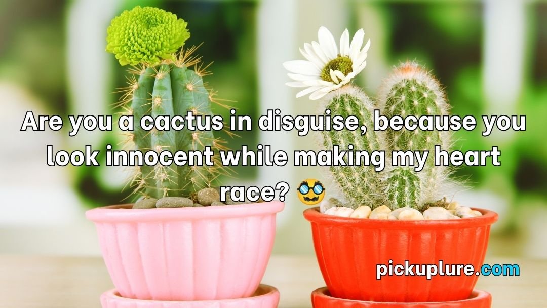 Cactus Pick Up Lines