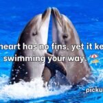 Dolphin Pick Up Lines