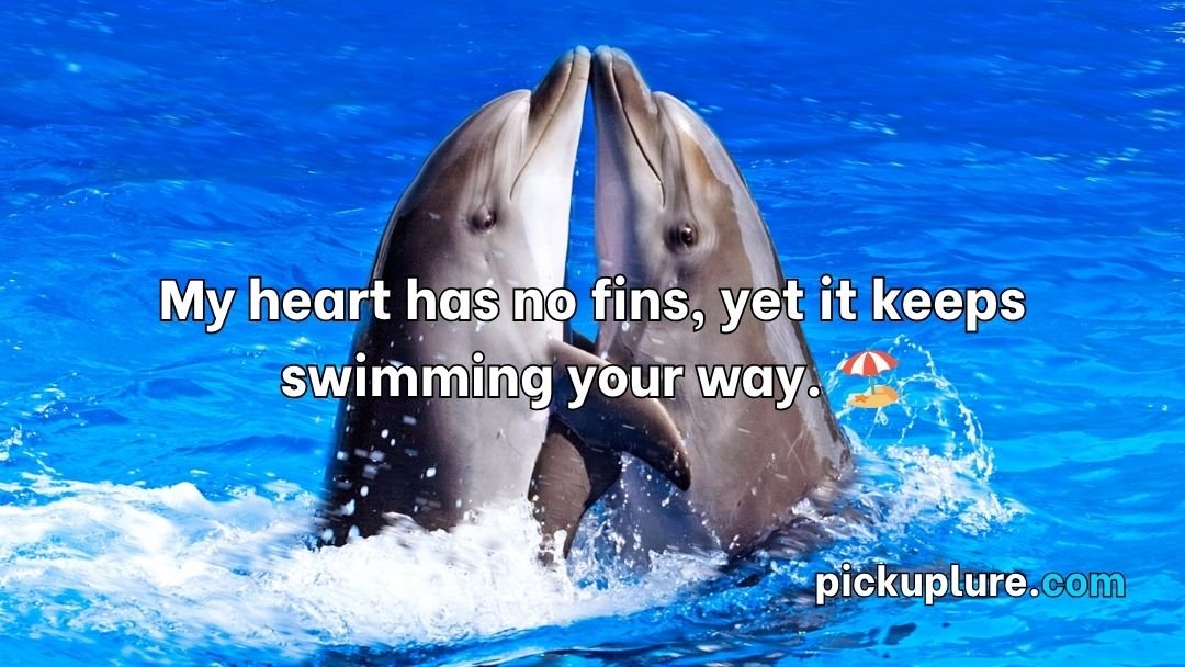Dolphin Pick Up Lines