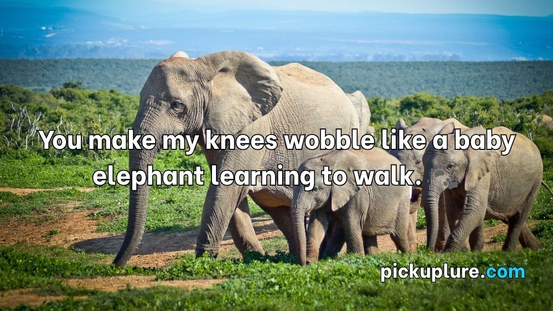 Elephant Pick Up Lines