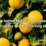 Lemon Pick Up Lines