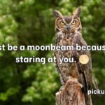 Owl Pick Up Lines