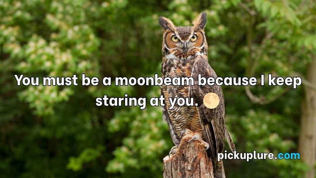 Owl Pick Up Lines