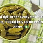 Pickle Pickup Lines