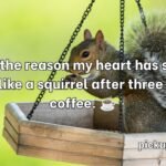 Squirrel Pick Up Lines