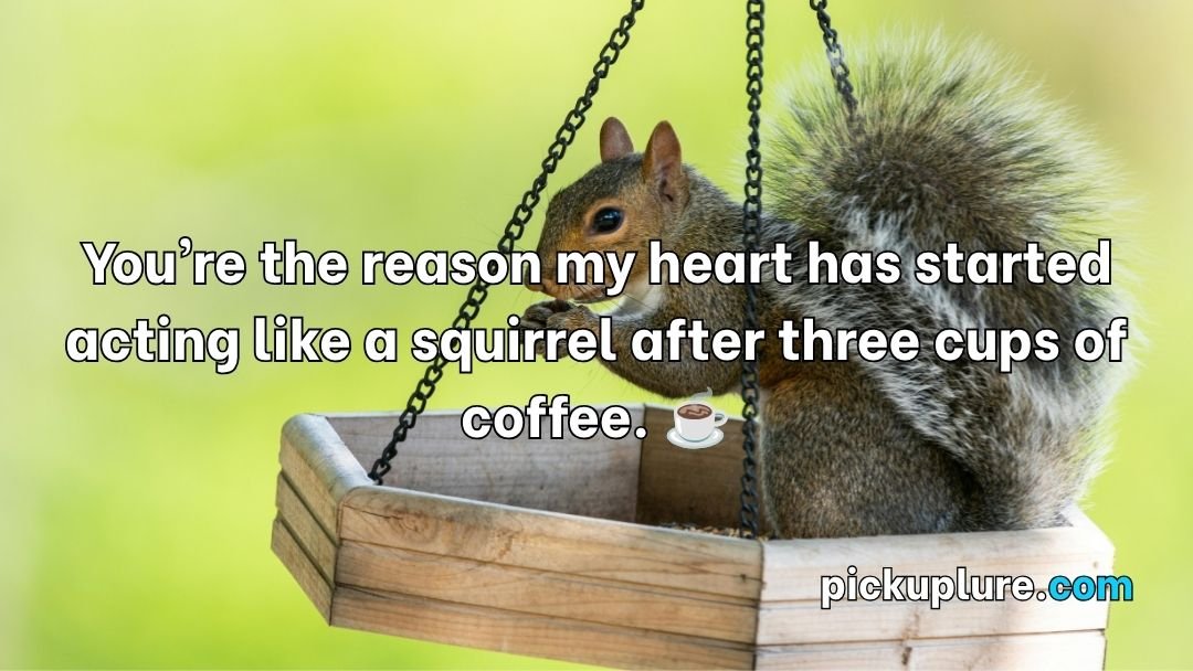 Squirrel Pick Up Lines