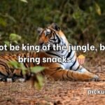 Tiger Pick Up Lines